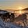  © Senja Fjordhotell, Reinsdyr i snøen, sol i bakgrunnen