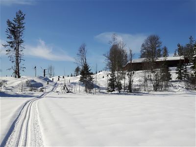 Ett prepsrerat längdskidspår en solig vinterdag, några träd och en byggnad syns också på bilden.