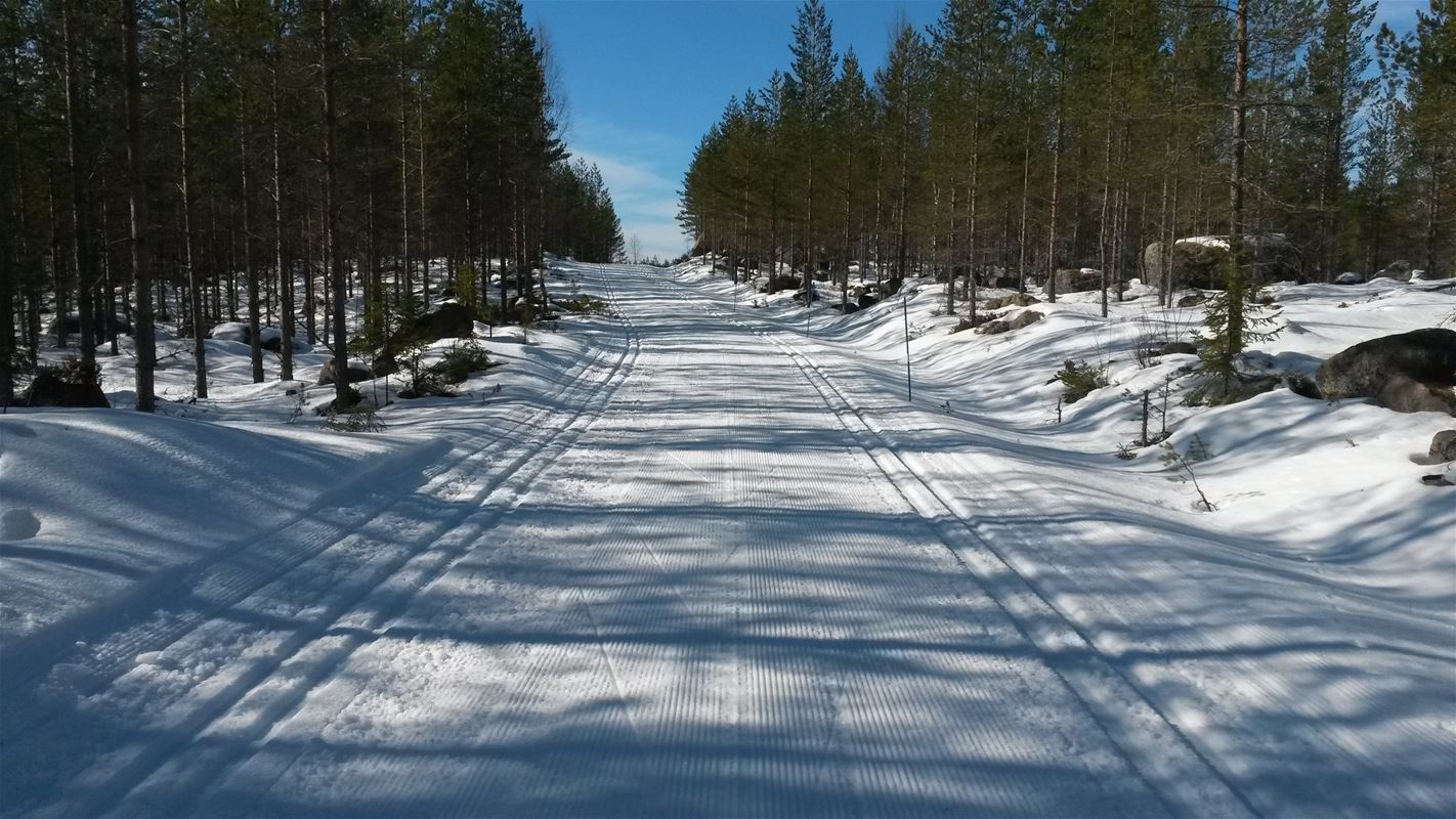 Två spår för klassisk skidåkning, soligt väder.