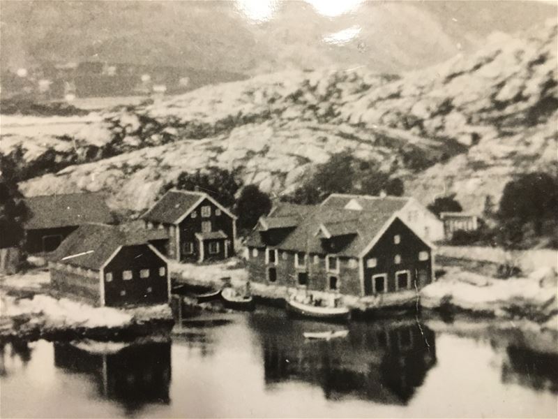 cbis:1971189-14