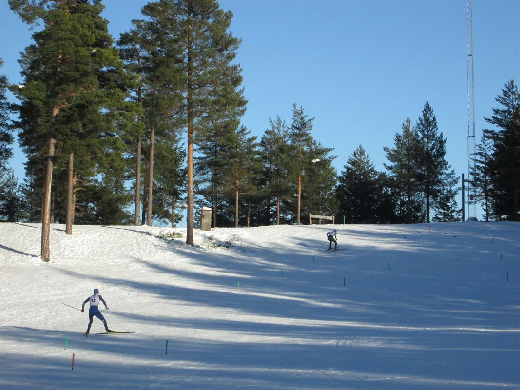 Ski trail.