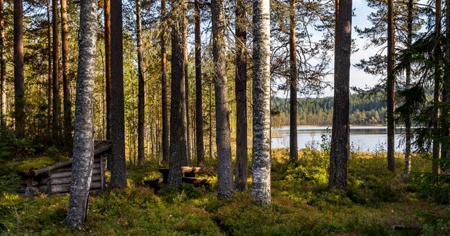 Finnskogsleden