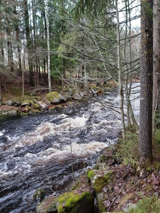Galvåns naturreservat