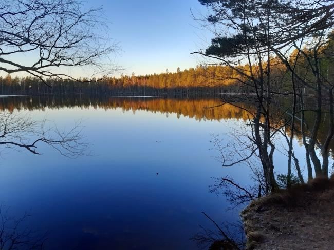 Stora Bollebergets naturreservat
