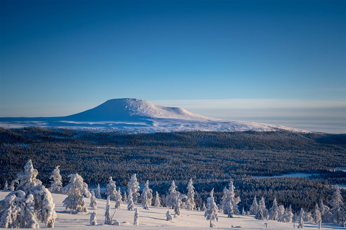 Winter landscape, a mountain peak in the background.