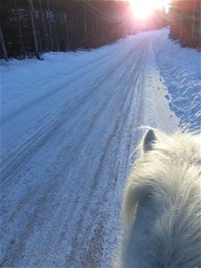 Hästman i förgrund med vinterväg i bakgrunden, en solig vinterdag.