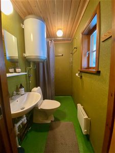 Bathroom with shower and a toilet.