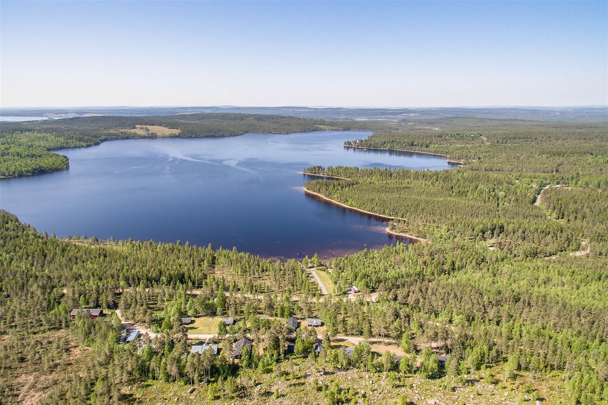Flygbild över Tyngsjö vildmark och sjön. 