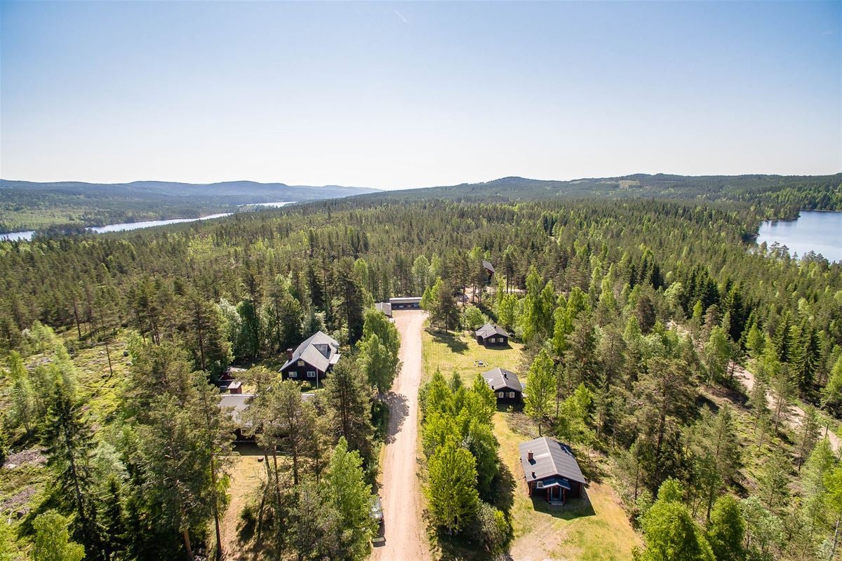 Summer aerial view of Tyngsjö wilderness.