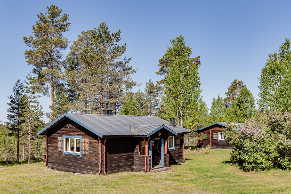 Timber cottagewith lawn,  coniferous forest and birches all around.
