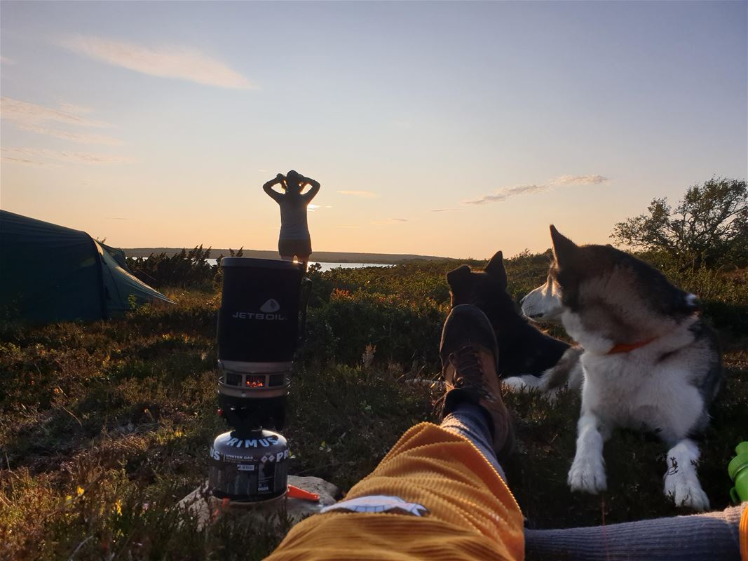 Camper with dog on the mountain at dawn.