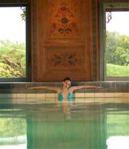 Woman in the pool with dalecarlian paintings on the wall behind her. 