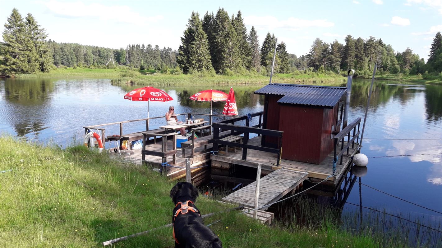 Brygga med räcke och ett litet hus på flotte i en sjö med grönska runtomkring. 