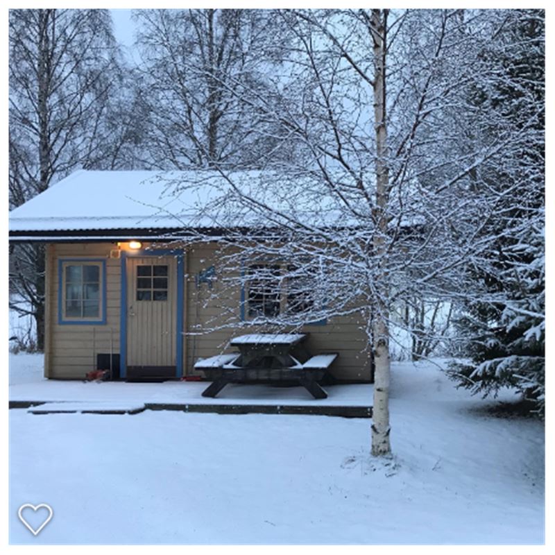 Cabin with frosted birch in front. 