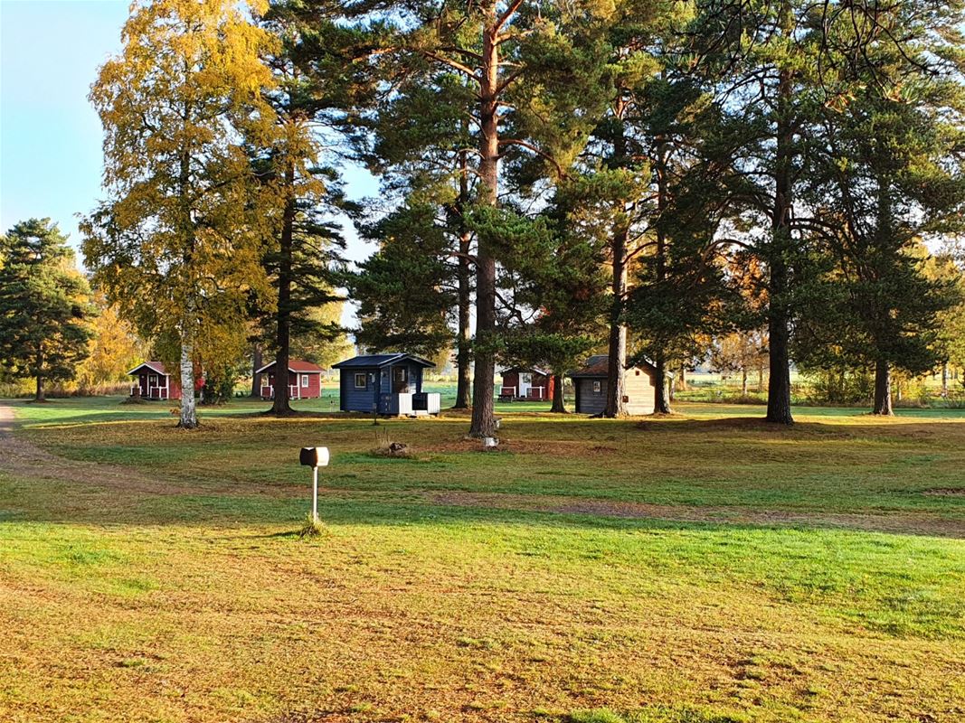 A camping site and cottages in the background.