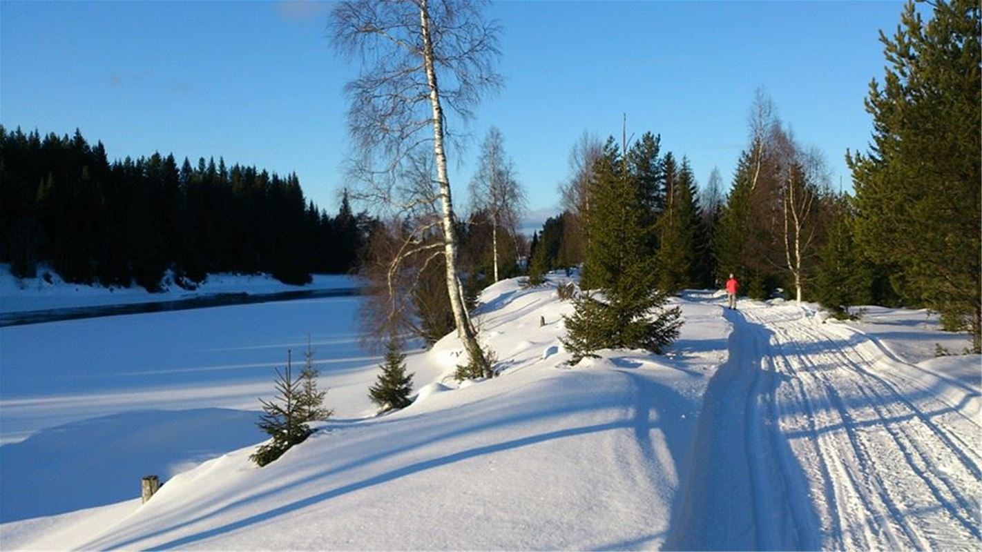 En vinterväg med snö och istäckt vattendrag vid sidan om. 