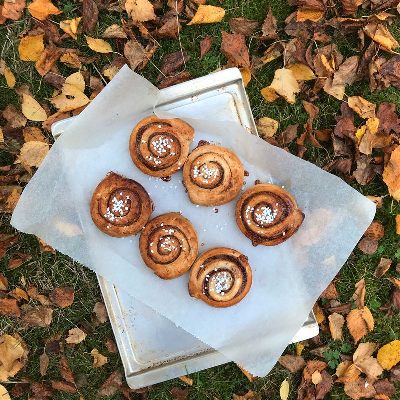 Six buns on a napkin on top of autumn leaves.