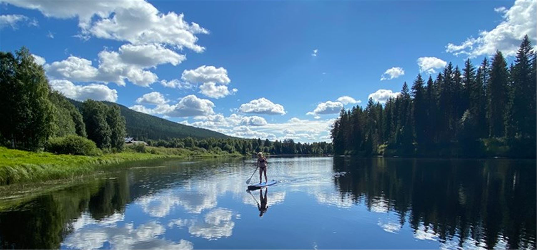A person on a stand up paddle on the river. 