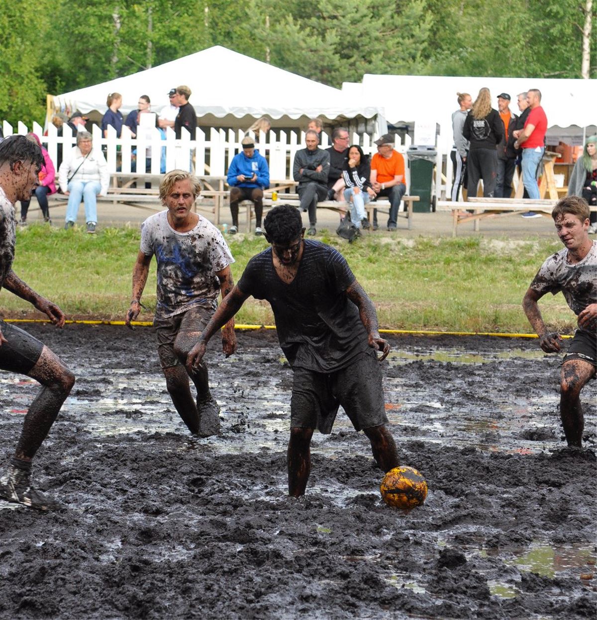 Swampsoccer Arena image 1