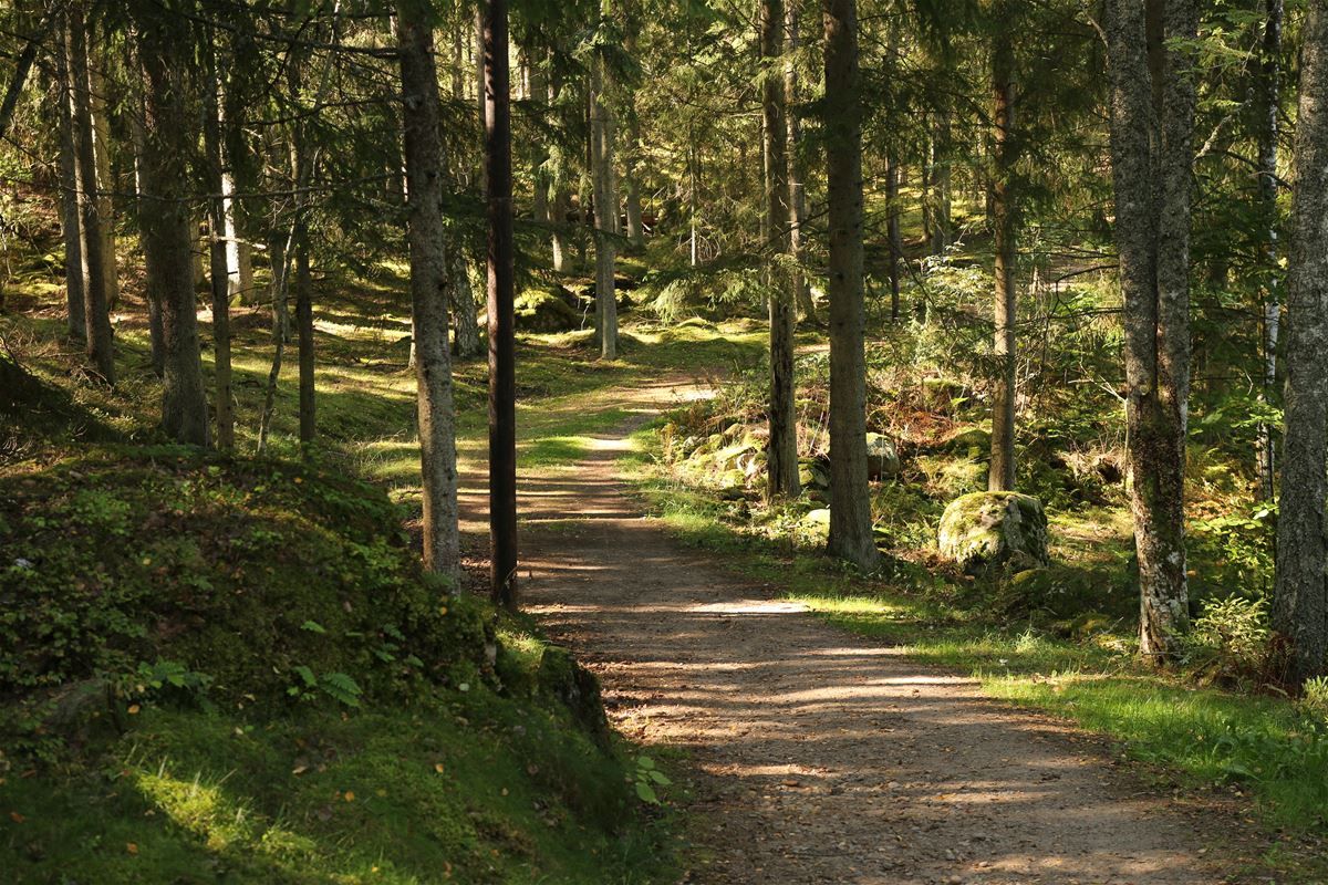 Exercise tracks - Tingsryd image 1