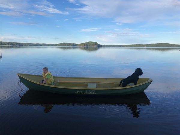 Gabriel Brånby,  &copy; Gabriel Brånby, Eka ute på vattnet med hund och människa 