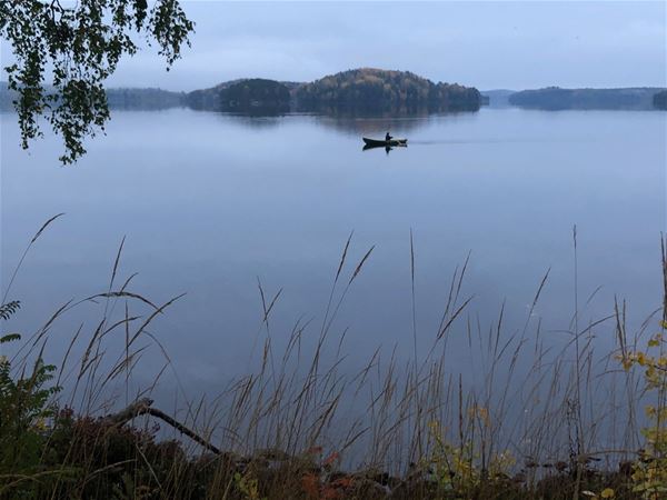 Gabriel Brånby,  &copy; Gabriel Brånby, Eka ute på tur på sjö med strand i förgrunden 