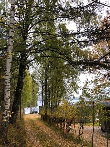 Gabriel Brånby,  &copy; Gabriel Brånby, Infartsväg till campingområde med omgivande grönska 