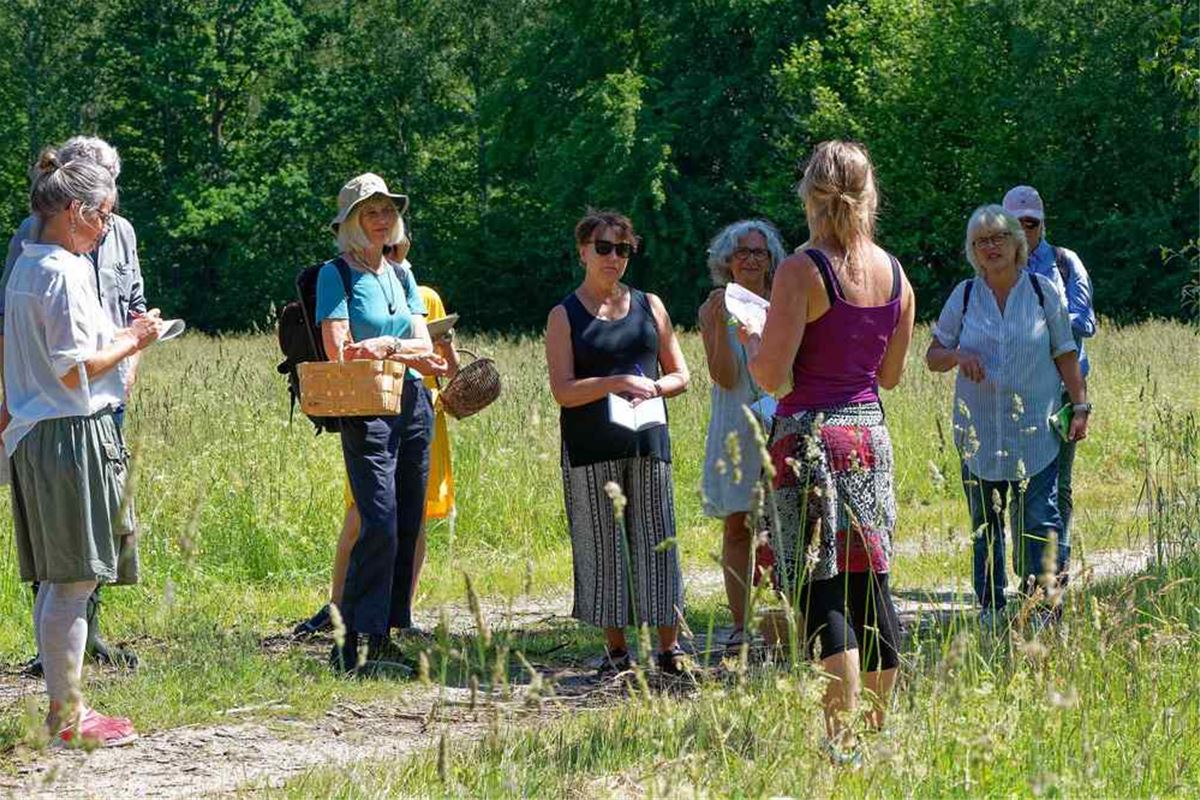 Naturens skafferi och apotek - guidad vandring image 1