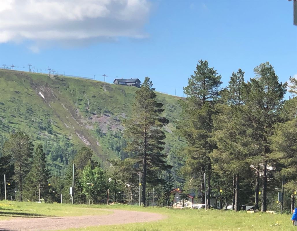Mountain view with lift in summer.  