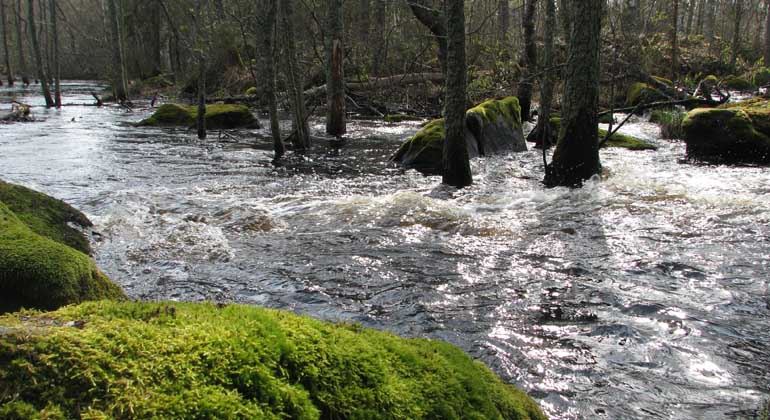 Naturreservat Skärjån