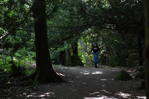 cykeland barn i skogen.