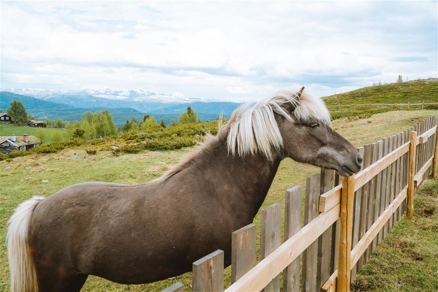 Foto Nasjonalparkriket