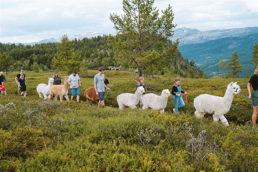 Foto Nasjonalparkriket