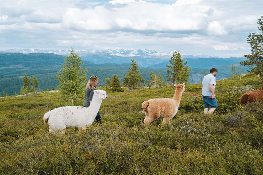 Foto Nasjonalparkriket