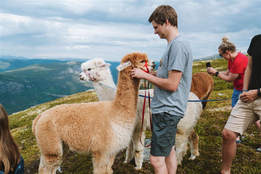 Foto Nasjonalparkriket