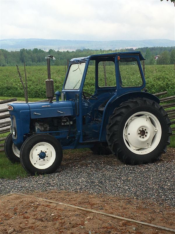 En blå traktor på en grusgång, i bakgrunden en jordgubbsodling.