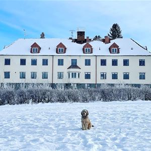 Vita huvudbyggnaden en vinterdag med en hund framför.