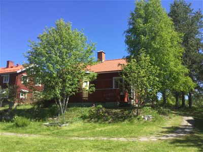 Red cabin behind a couple of trees. 