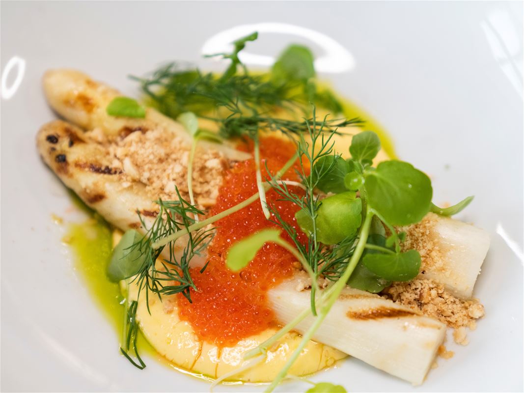 A plate with asparagus, red catfish rum, pea shoots.
