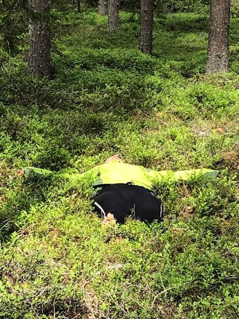 Dellenbygdens Naturhälsa