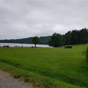 Gräsyta med utsikt mot sjö.