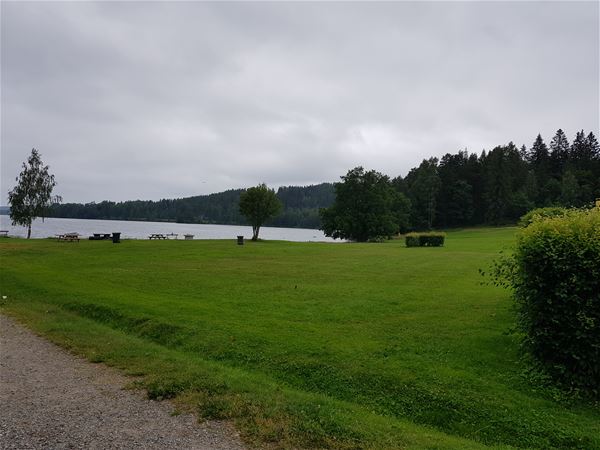 Gräsyta med utsikt mot sjö. 