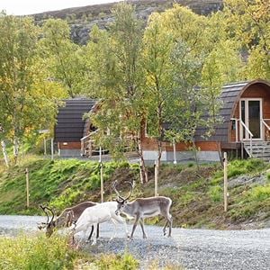 Accommodation - Gamme Cabins