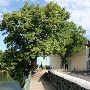 Circuit patrimoine de la ville de Saint Pierre -La Rivière d'Abord ou la naissance d'une ville