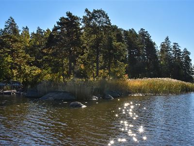 Naturschutzgebiet Långö