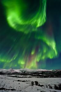 nordlys over et vintersnølandskap