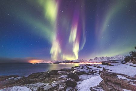 Northern lights on the coast 