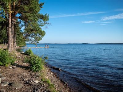 A lake Trees on the shore, a bathing jetty in the background.