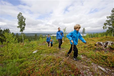 En man, en kvinna, en pojke och en flicka i blåa jackor som vandrar, en sjö och berg i bakgrunden.
