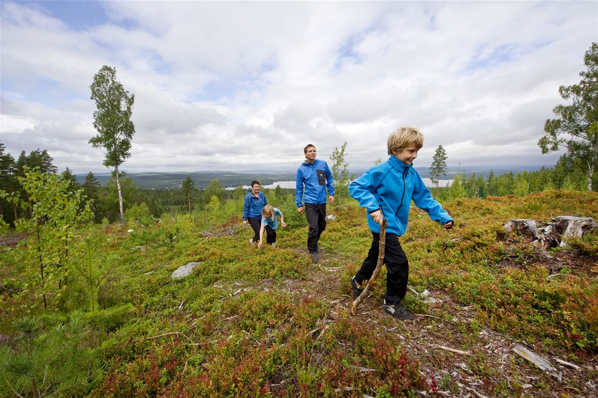 Two adults and two children in blue jackets hiking.